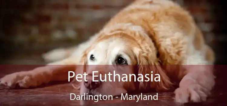 Pet Euthanasia Darlington - Maryland