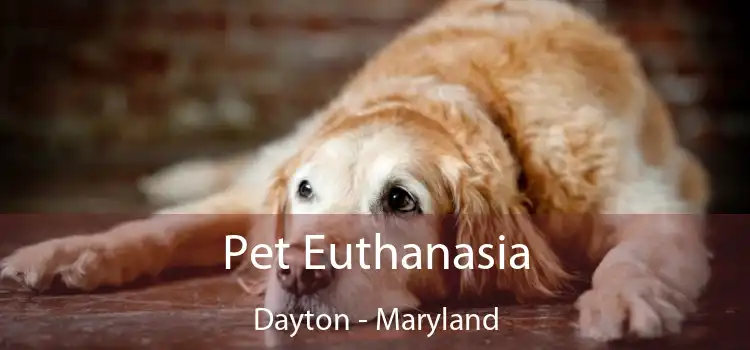 Pet Euthanasia Dayton - Maryland