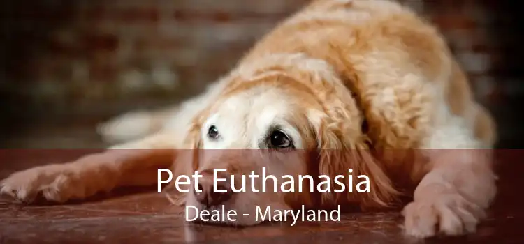 Pet Euthanasia Deale - Maryland