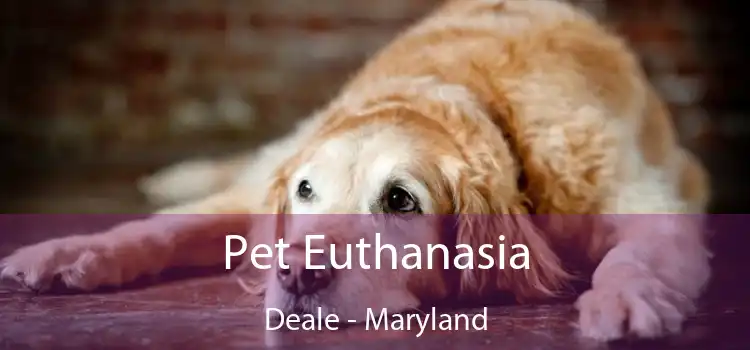 Pet Euthanasia Deale - Maryland