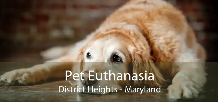Pet Euthanasia District Heights - Maryland