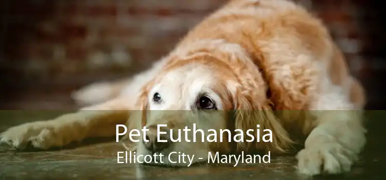 Pet Euthanasia Ellicott City - Maryland