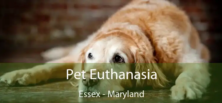 Pet Euthanasia Essex - Maryland