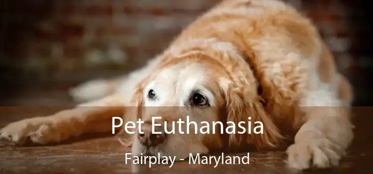 Pet Euthanasia Fairplay - Maryland