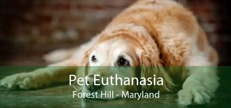 Pet Euthanasia Forest Hill - Maryland