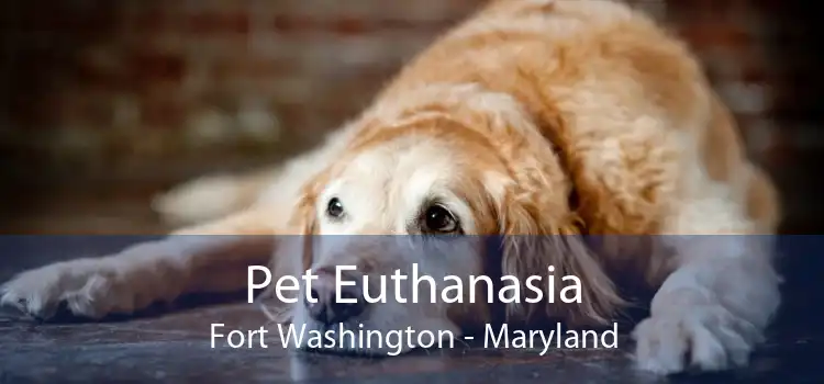 Pet Euthanasia Fort Washington - Maryland