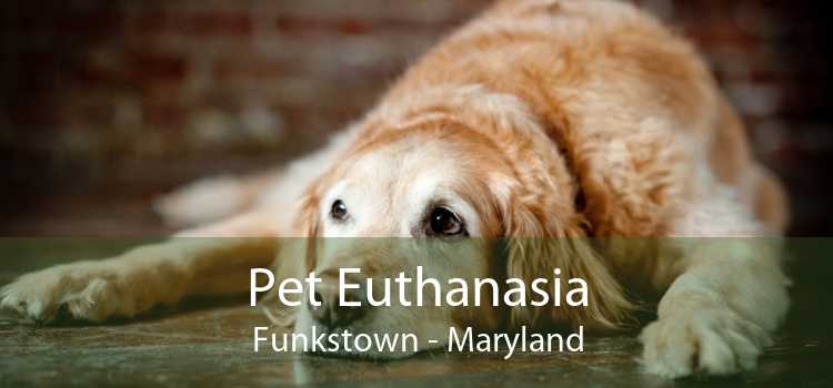 Pet Euthanasia Funkstown - Maryland