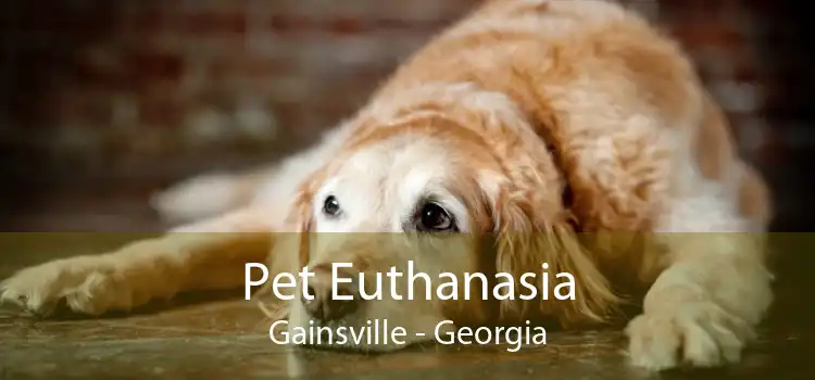 Pet Euthanasia Gainsville - Georgia