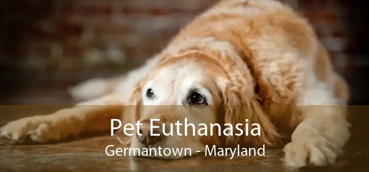 Pet Euthanasia Germantown - Maryland