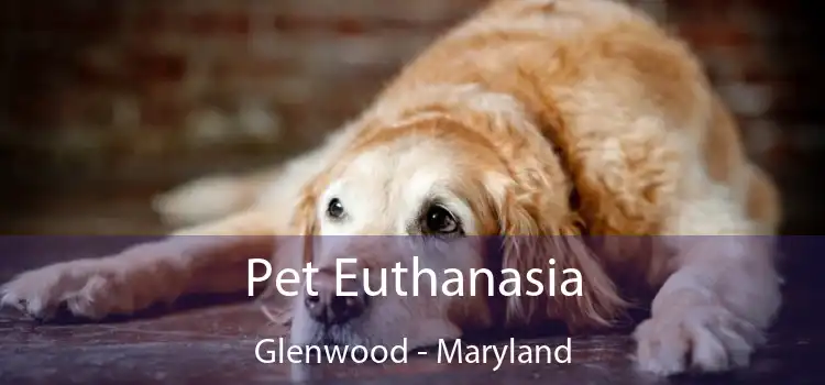 Pet Euthanasia Glenwood - Maryland