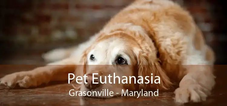 Pet Euthanasia Grasonville - Maryland