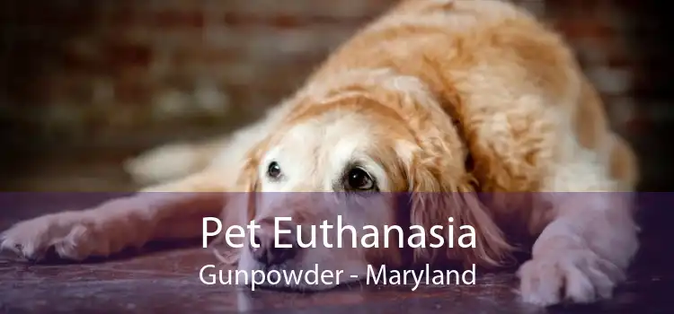 Pet Euthanasia Gunpowder - Maryland