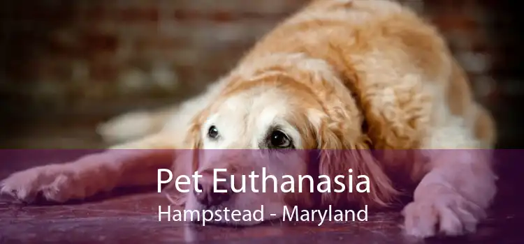 Pet Euthanasia Hampstead - Maryland