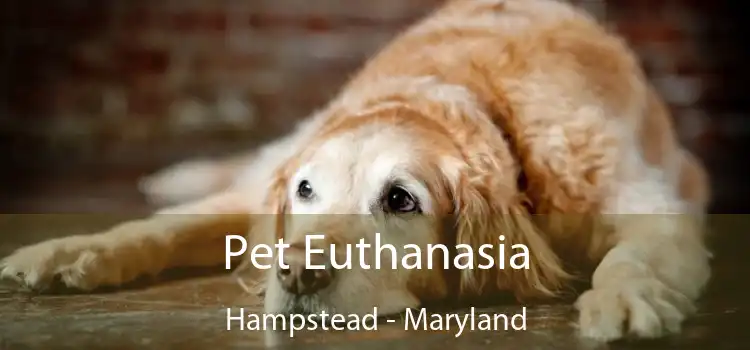 Pet Euthanasia Hampstead - Maryland