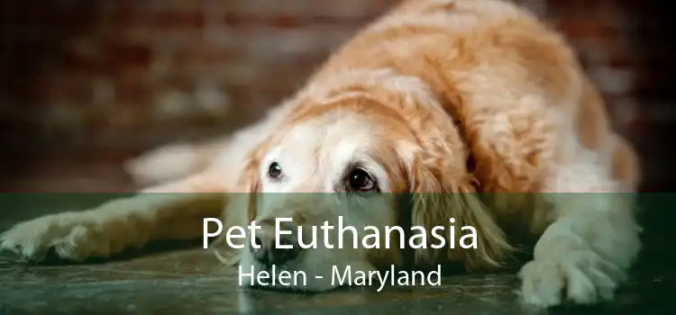 Pet Euthanasia Helen - Maryland