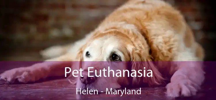 Pet Euthanasia Helen - Maryland