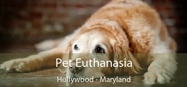 Pet Euthanasia Hollywood - Maryland