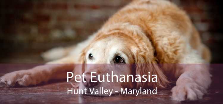 Pet Euthanasia Hunt Valley - Maryland