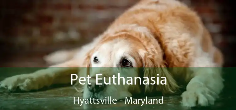 Pet Euthanasia Hyattsville - Maryland