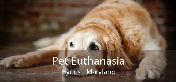Pet Euthanasia Hydes - Maryland