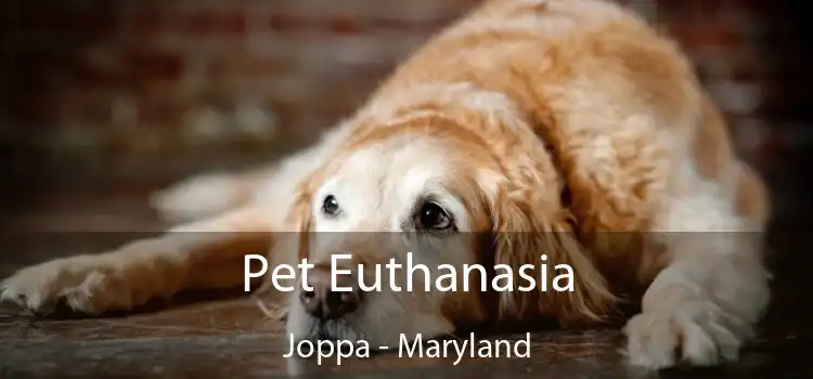 Pet Euthanasia Joppa - Maryland