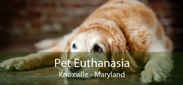 Pet Euthanasia Knoxville - Maryland