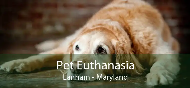Pet Euthanasia Lanham - Maryland