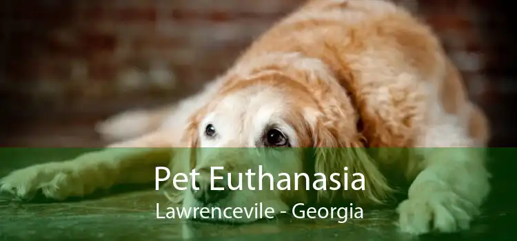Pet Euthanasia Lawrencevile - Georgia