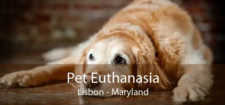 Pet Euthanasia Lisbon - Maryland