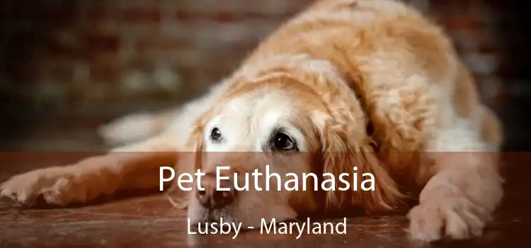 Pet Euthanasia Lusby - Maryland