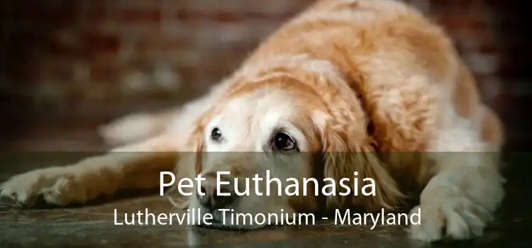 Pet Euthanasia Lutherville Timonium - Maryland