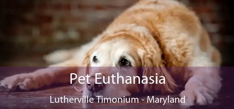 Pet Euthanasia Lutherville Timonium - Maryland