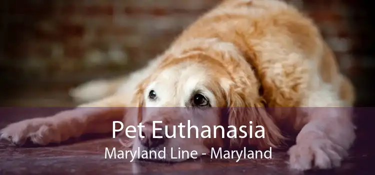 Pet Euthanasia Maryland Line - Maryland