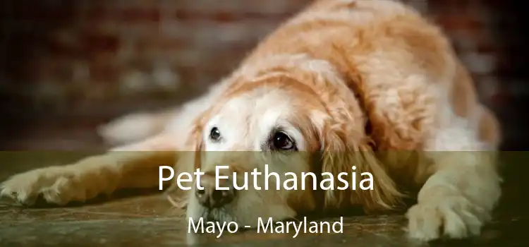 Pet Euthanasia Mayo - Maryland