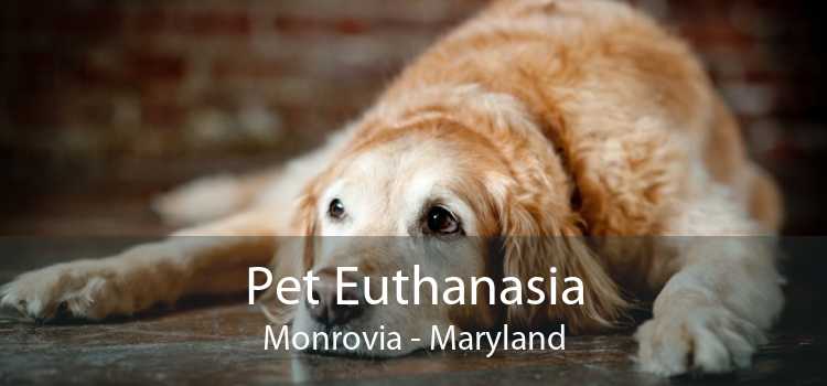 Pet Euthanasia Monrovia - Maryland