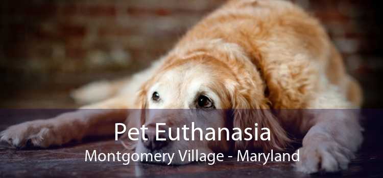 Pet Euthanasia Montgomery Village - Maryland