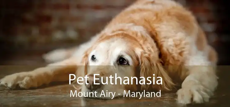 Pet Euthanasia Mount Airy - Maryland