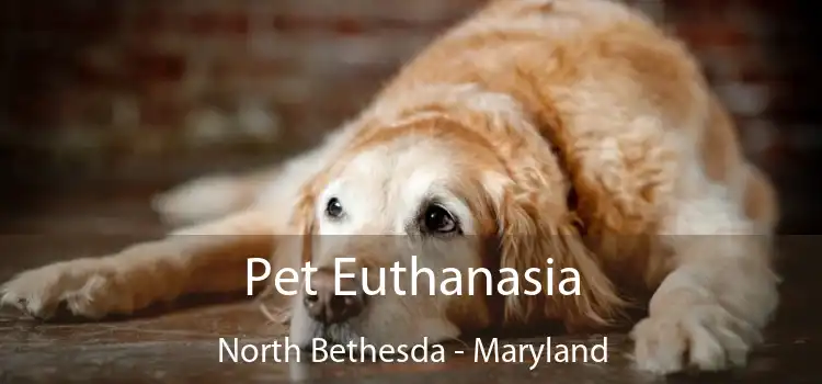 Pet Euthanasia North Bethesda - Maryland