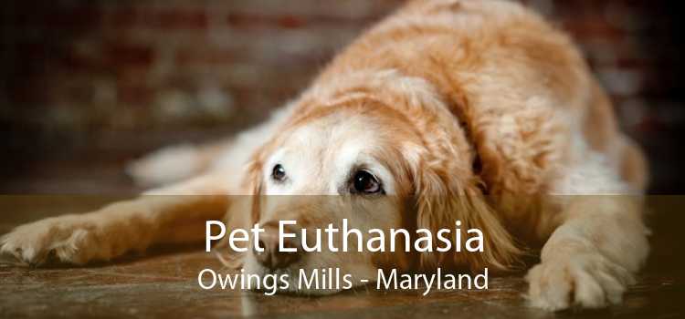 Pet Euthanasia Owings Mills - Maryland
