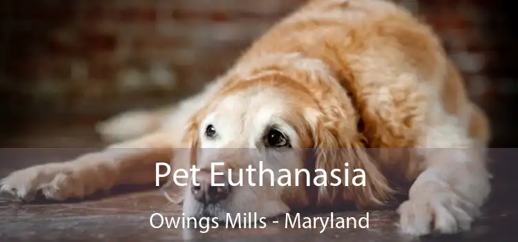 Pet Euthanasia Owings Mills - Maryland