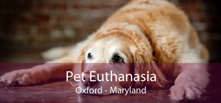 Pet Euthanasia Oxford - Maryland