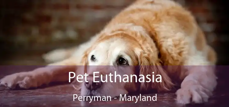 Pet Euthanasia Perryman - Maryland