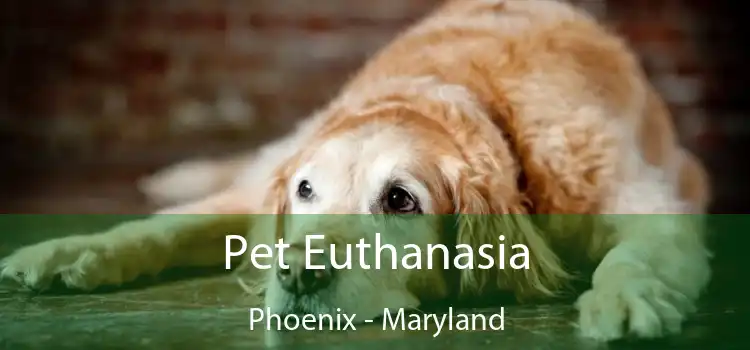 Pet Euthanasia Phoenix - Maryland