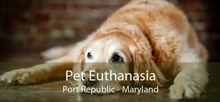 Pet Euthanasia Port Republic - Maryland