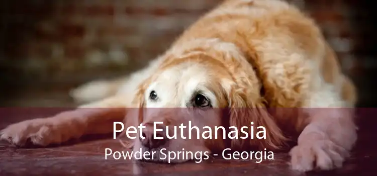 Pet Euthanasia Powder Springs - Georgia