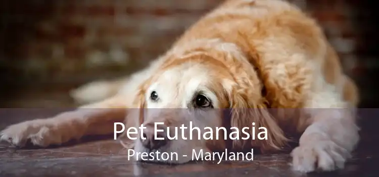 Pet Euthanasia Preston - Maryland