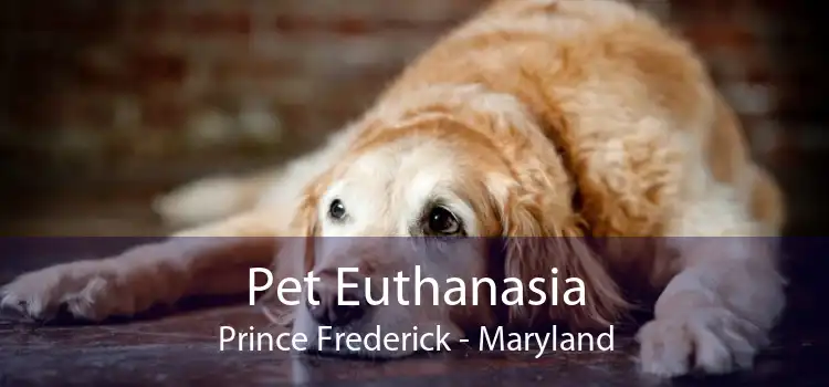 Pet Euthanasia Prince Frederick - Maryland