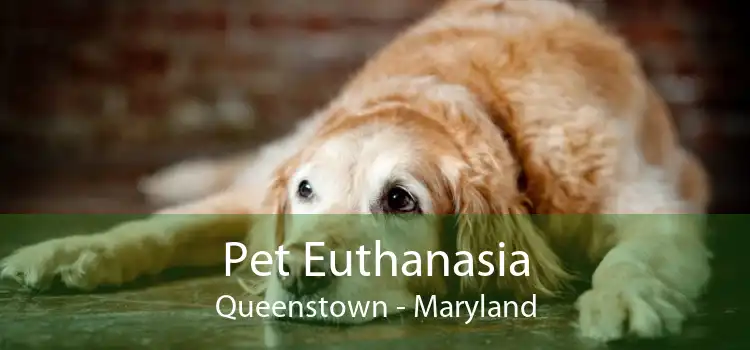 Pet Euthanasia Queenstown - Maryland