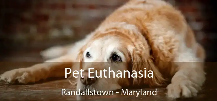 Pet Euthanasia Randallstown - Maryland