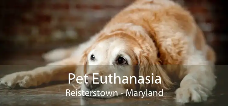 Pet Euthanasia Reisterstown - Maryland